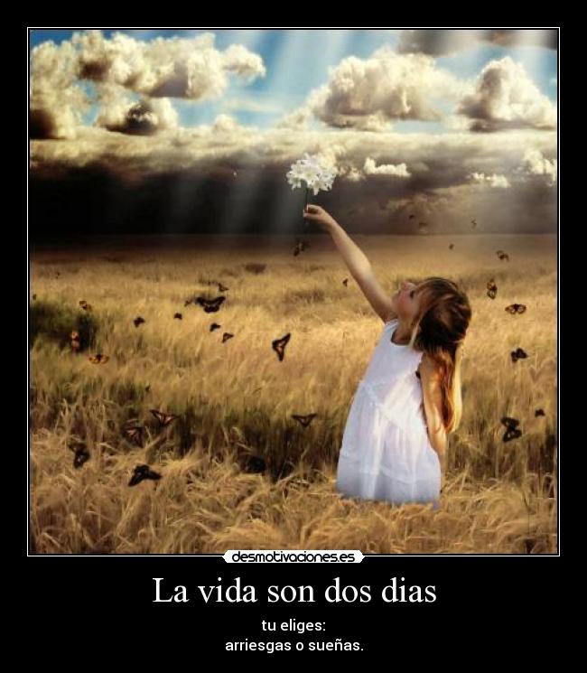 La vida son dos dias -