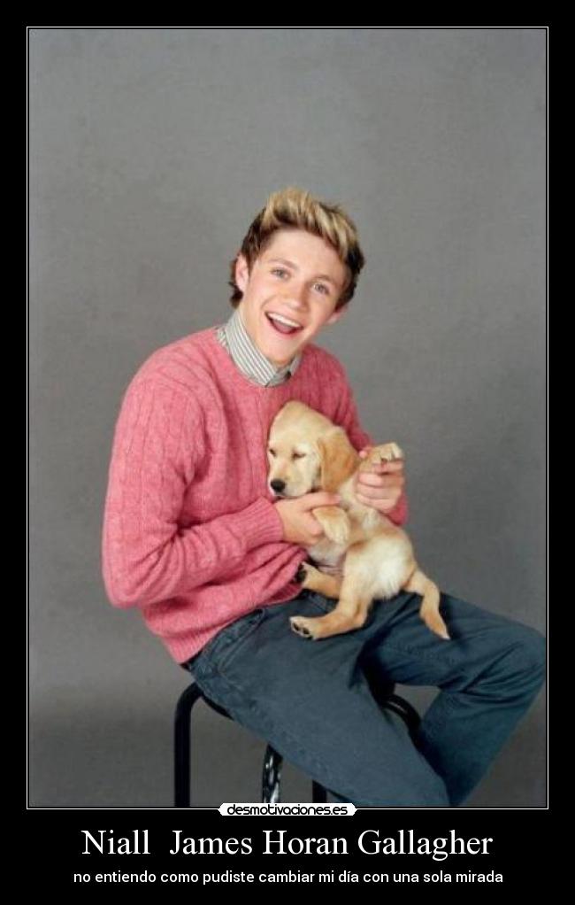 Niall James Horan Gallagher Biography | niall james horan gallagher desmotivaciones Niall James Horan Gallagher Biography | niall james horan gallagher desmotivaciones