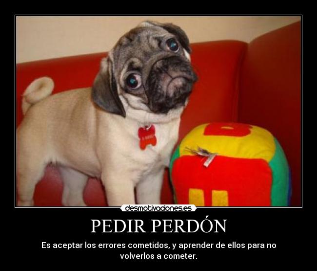PEDIR PERDÓN -
