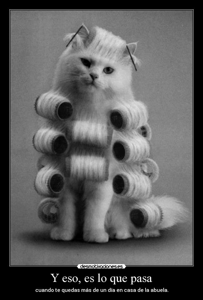 Y eso, es lo que pasa -