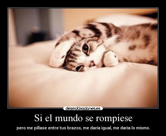 Si el mundo se rompiese -