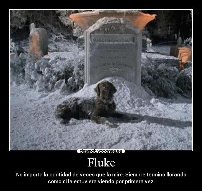 Fluke -