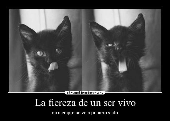 La fiereza de un ser vivo -