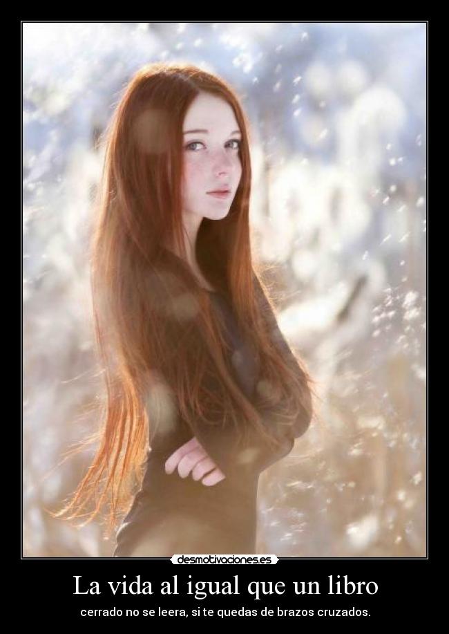 carteles vida rehead everywhere desmotivaciones