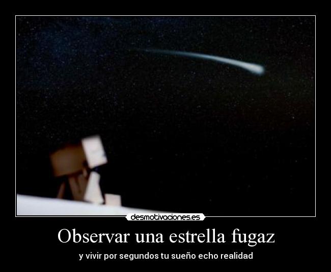 Observar una estrella fugaz -