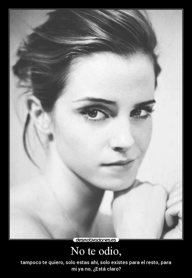 No te odio, - tampoco te quiero, solo estas ahí, solo existes para el resto, para
mi ya no, ¿Está claro?