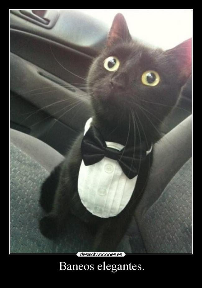 Baneos elegantes. -