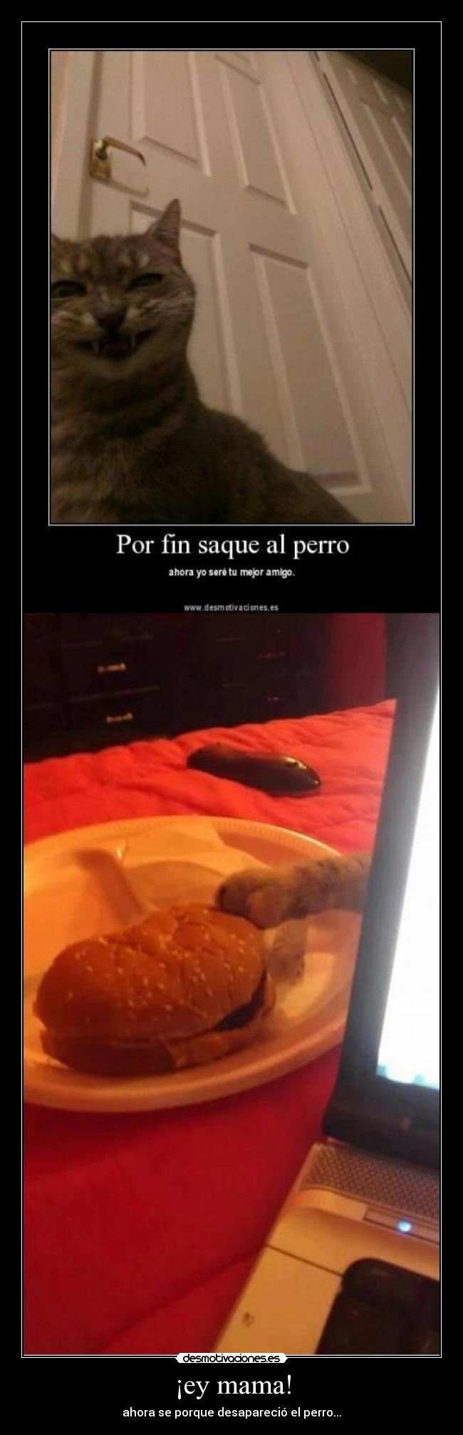 carteles jaja seeej desmotivaciones