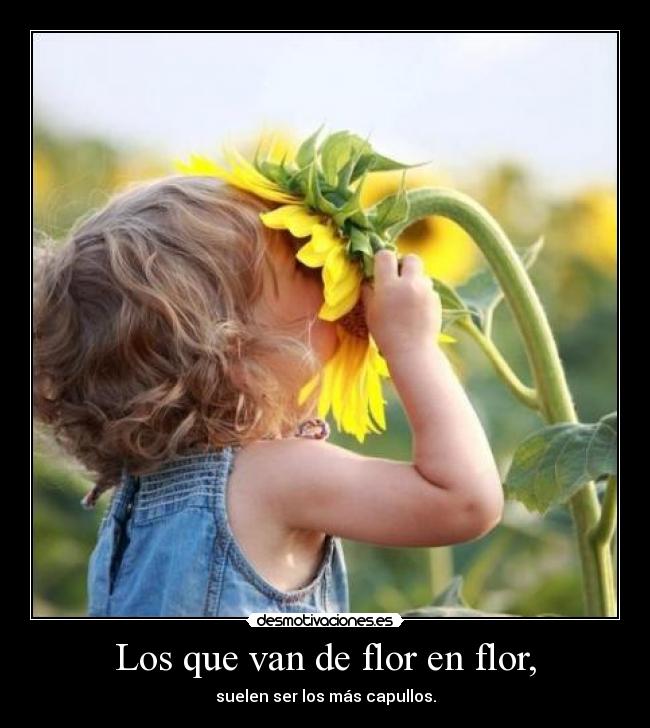 Los que van de flor en flor, - suelen ser los más capullos.