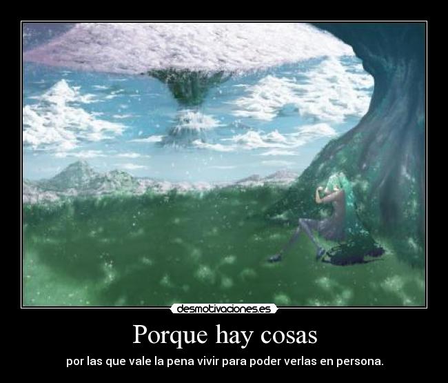 Porque hay cosas - por las que vale la pena vivir para poder verlas en persona.