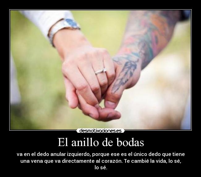 El anillo de bodas - va en el dedo anular izquierdo, porque ese es el único dedo que tiene
una vena que va directamente al corazón. Te cambié la vida, lo sé,
lo sé.
