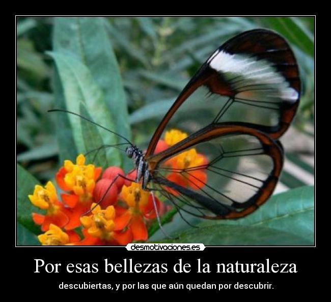 Por esas bellezas de la naturaleza -