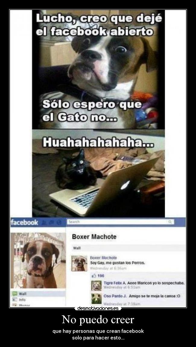 No puedo creer - que hay personas que crean facebook
solo para hacer esto...♣