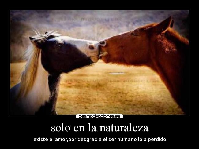 solo en la naturaleza - 