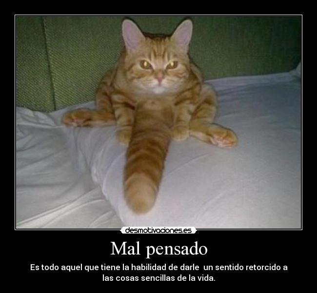 Mal pensado - Es todo aquel que tiene la habilidad de darle  un sentido retorcido a
las cosas sencillas de la vida.