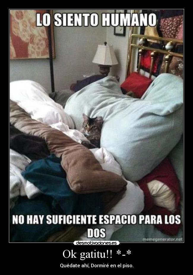 carteles ese gatosesta pro lol gatoscama desmotivaciones