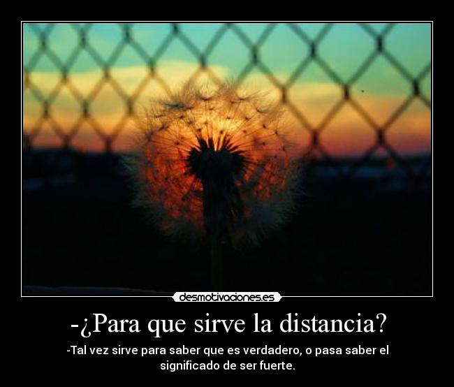 -¿Para que sirve la distancia? - -Tal vez sirve para saber que es verdadero, o pasa saber el significado de ser fuerte.