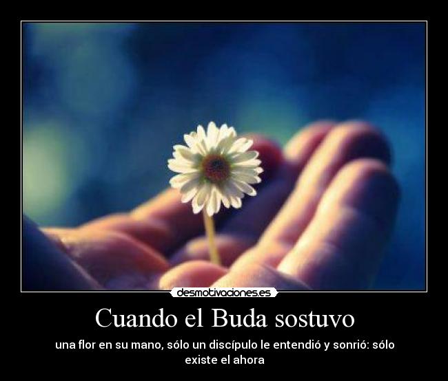 Cuando el Buda sostuvo -