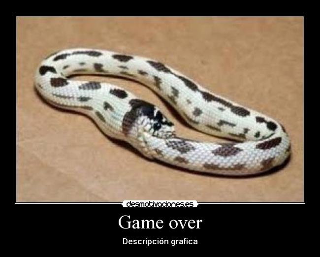 Game over - Descripción grafica