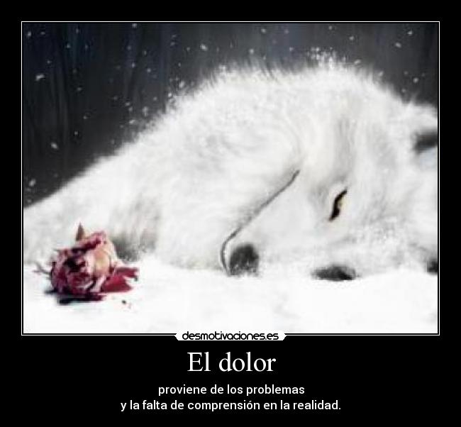El dolor - proviene de los problemas
y la falta de comprensión en la realidad.