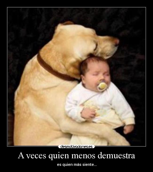 A veces quien menos demuestra - 