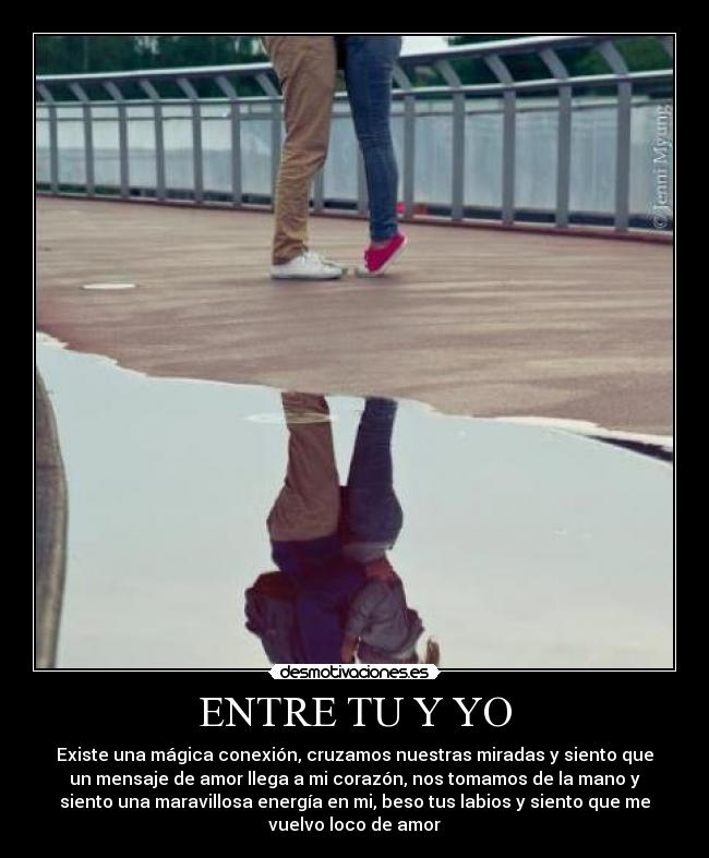 carteles lizbhet mhaldonaddop desmotivaciones