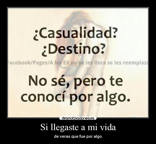 Si llegaste a mi vida -