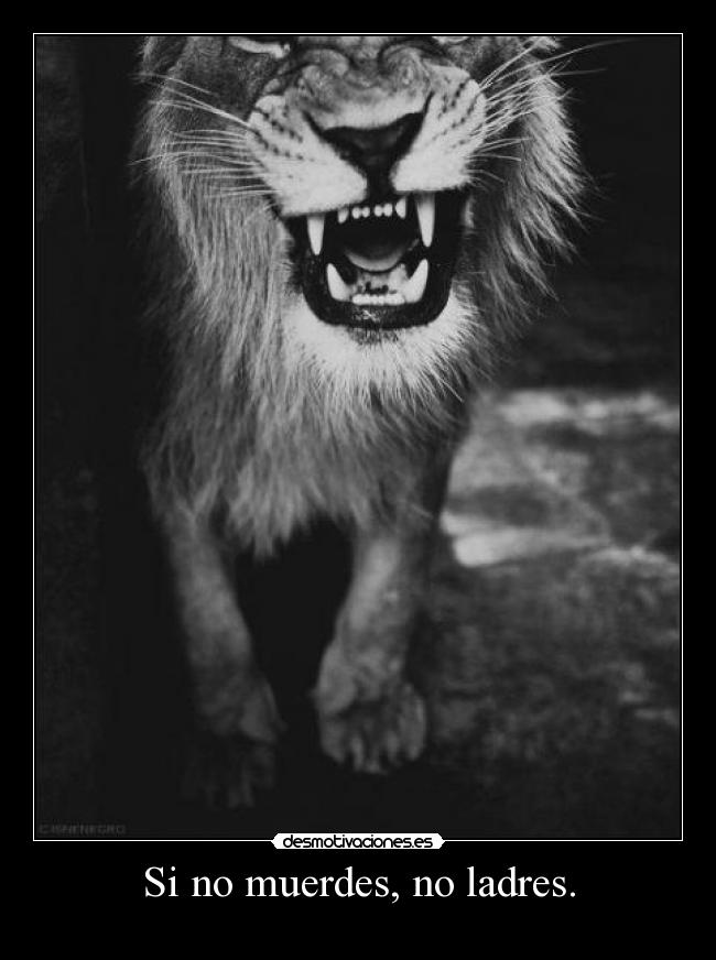 Si no muerdes, no ladres. - 