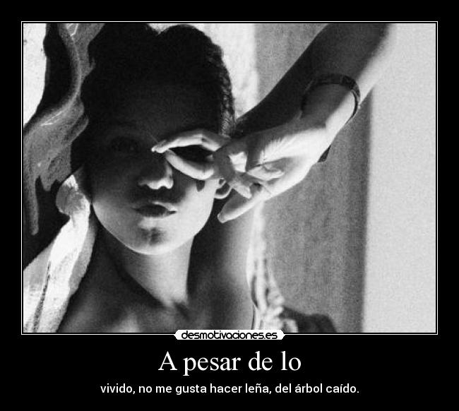A pesar de lo - vivido, no me gusta hacer leña, del árbol caído.