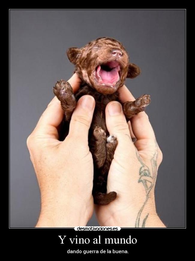 Y vino al mundo - dando guerra de la buena.