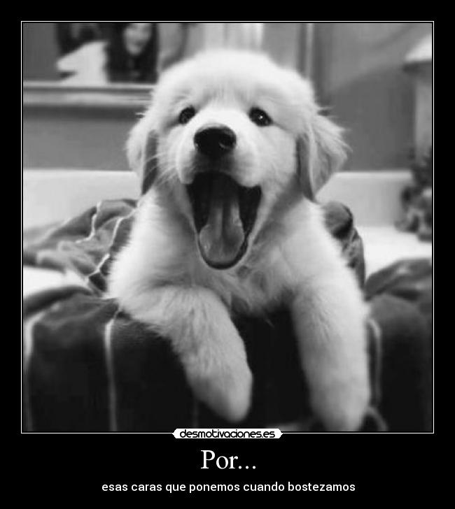 Por... - esas caras que ponemos cuando bostezamos