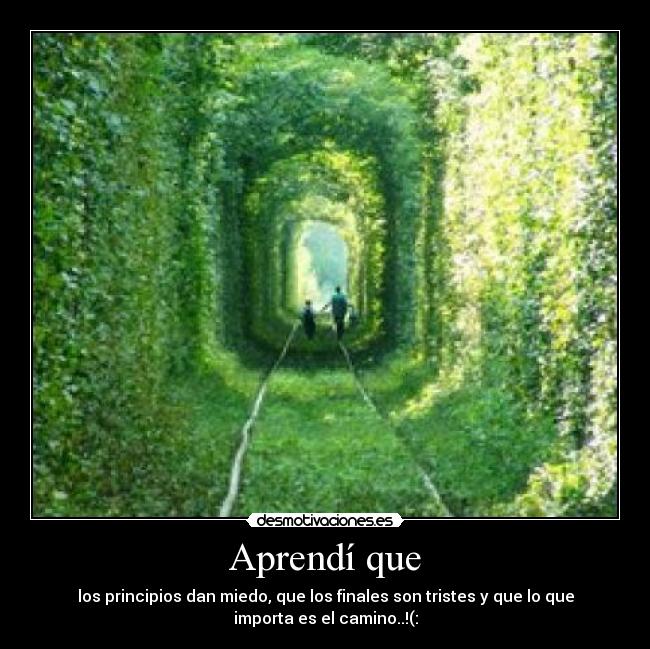 Aprendí que - los principios dan miedo, que los finales son tristes y que lo que
importa es el camino..!(: