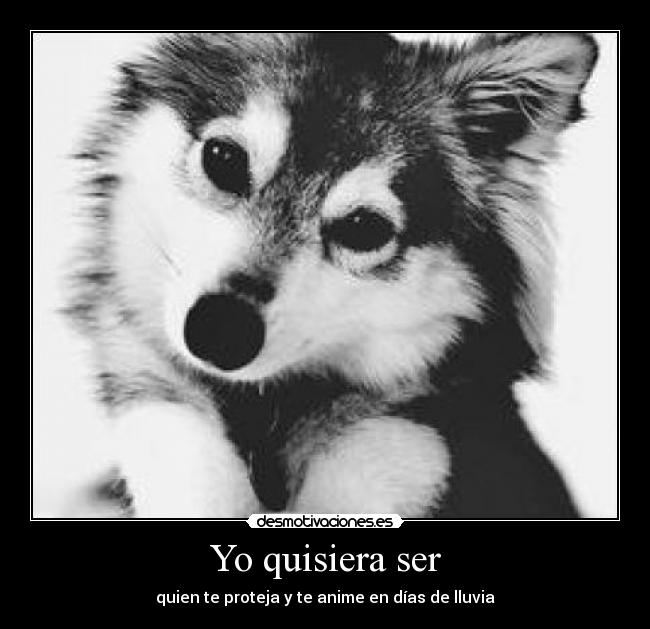 Yo quisiera ser - quien te proteja y te anime en días de lluvia