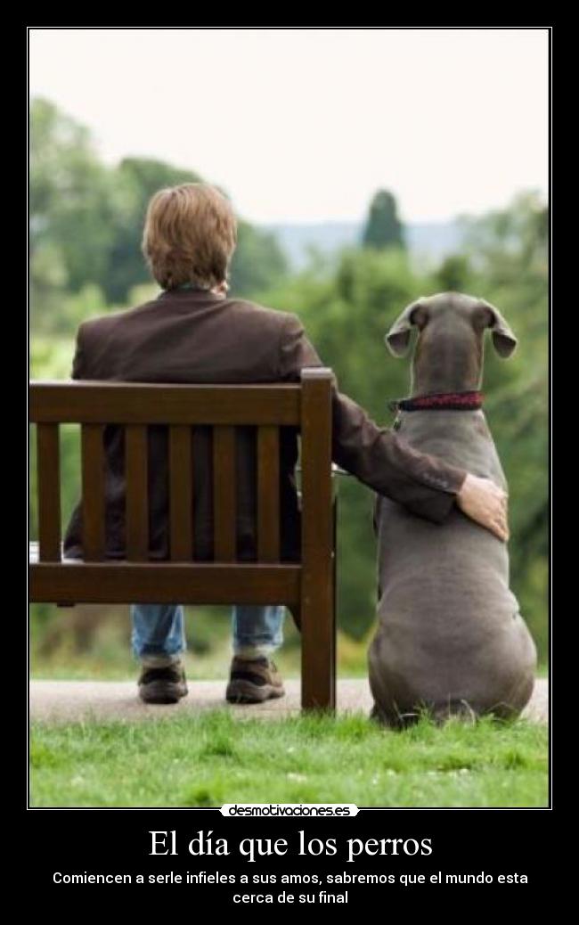 El día que los perros - 