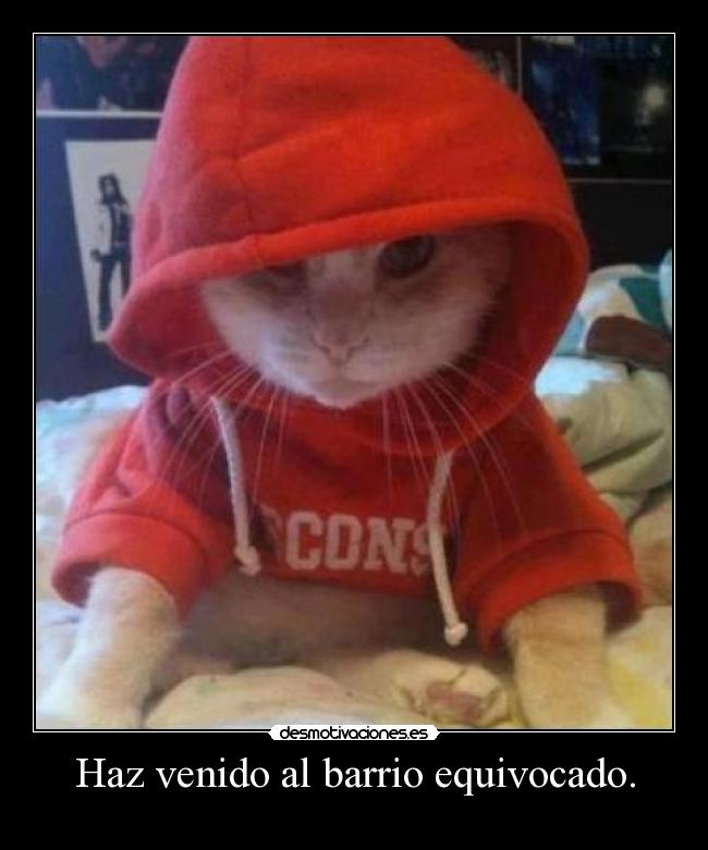 Haz venido al barrio equivocado. -