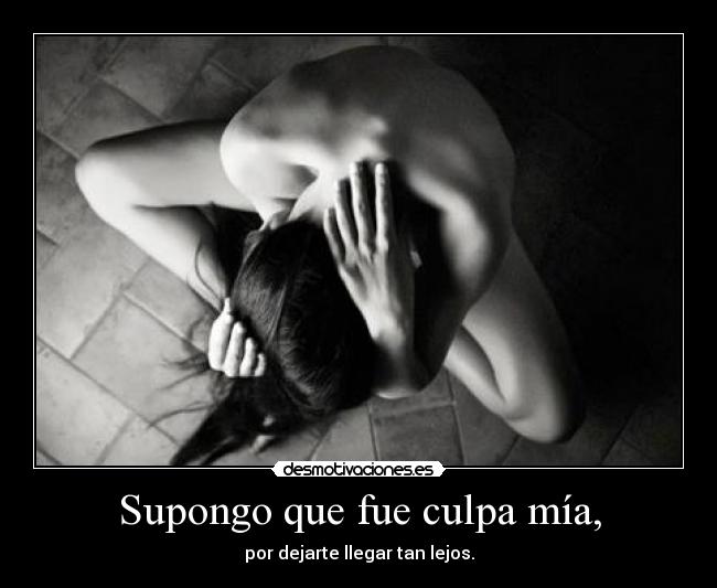 carteles ldydy desmotivaciones