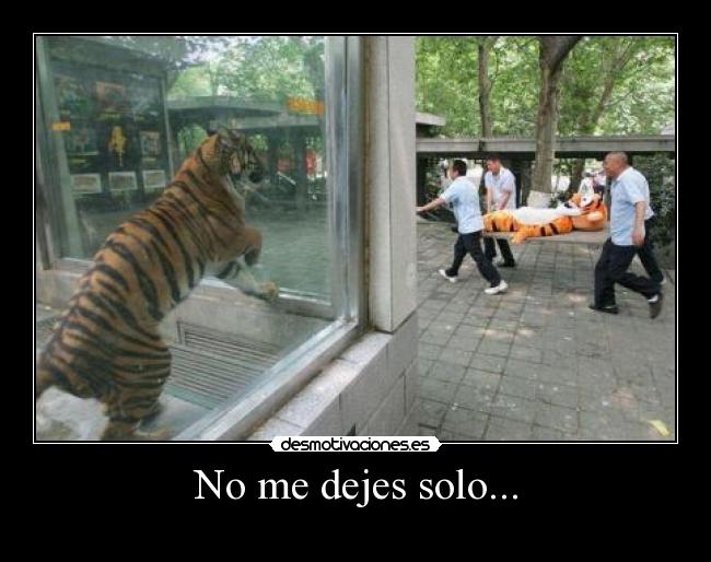No me dejes solo... -