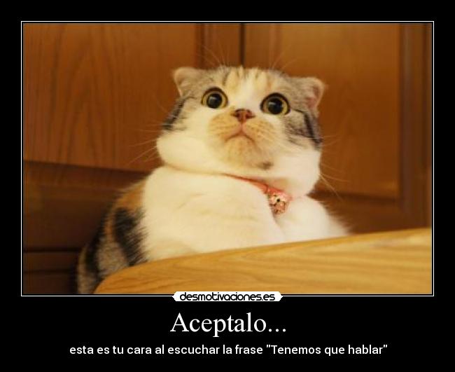 Aceptalo... -