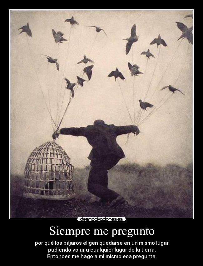 Siempre me pregunto - por qué los pájaros eligen quedarse en un mismo lugar
pudiendo volar a cualquier lugar de la tierra.
Entonces me hago a mi mismo esa pregunta.