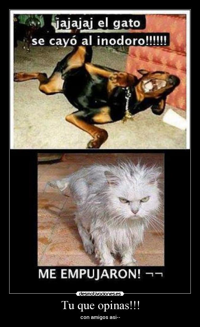 Tu que opinas!!! - con amigos asi--♣