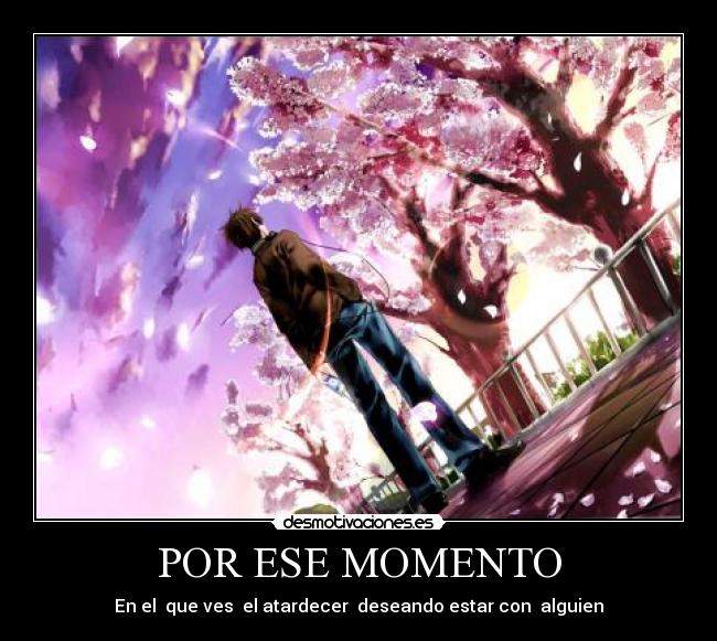 carteles vaquita desmotivaciones