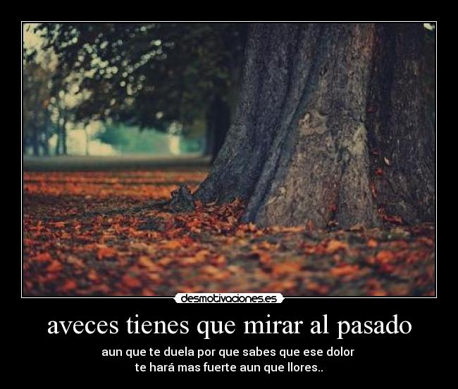 aveces tienes que mirar al pasado - aun que te duela por que sabes que ese dolor 
te hará mas fuerte aun que llores..