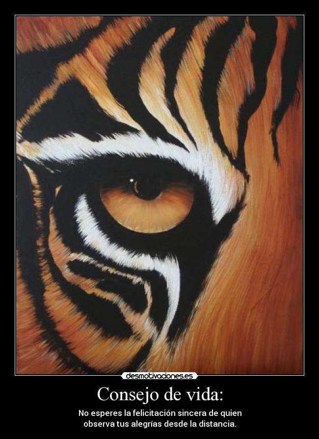 Consejo de vida: - No esperes la felicitación sincera de quien
observa tus alegrías desde la distancia.