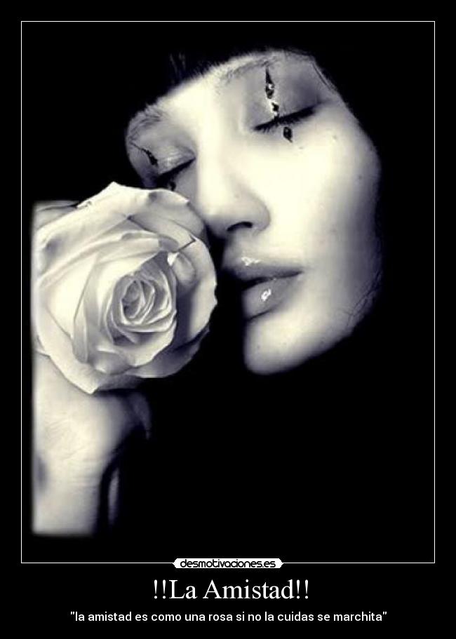 !!La Amistad!! - la amistad es como una rosa si no la cuidas se marchita