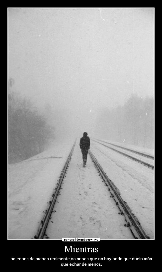 Mientras - no echas de menos realmente,no sabes que no hay nada que duela más
que echar de menos.