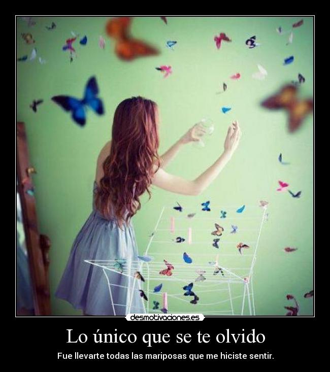 Lo único que se te olvido - Fue llevarte todas las mariposas que me hiciste sentir.