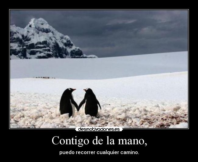 Contigo de la mano, - puedo recorrer cualquier camino.