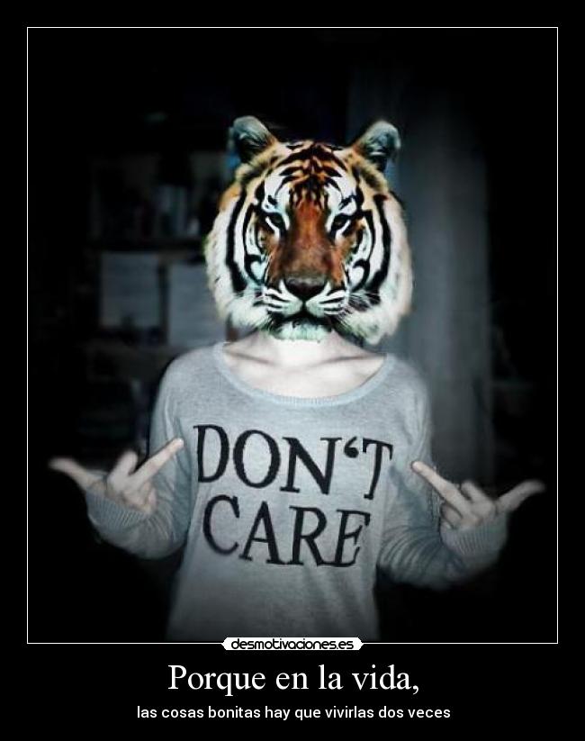 Porque en la vida, - las cosas bonitas hay que vivirlas dos veces