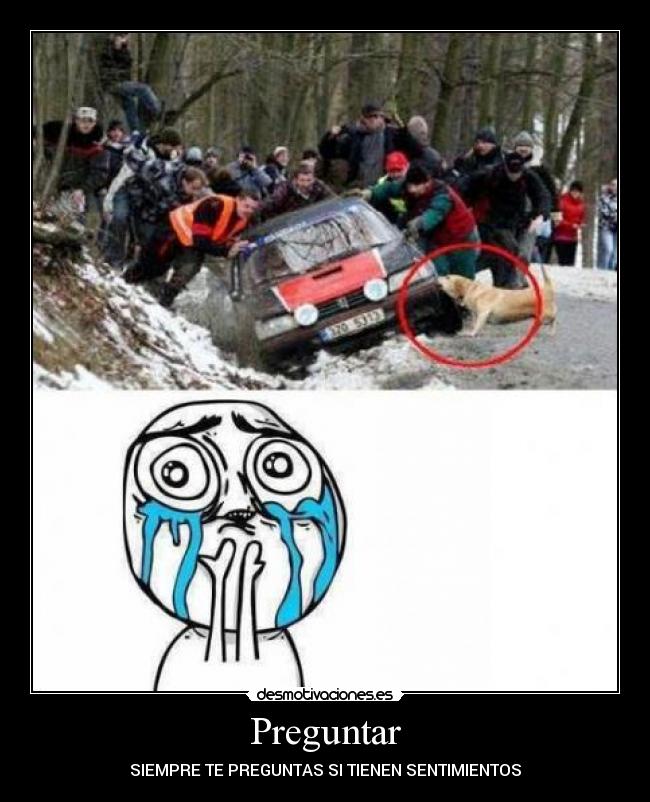 carteles animales hacen todo por desmotivaciones