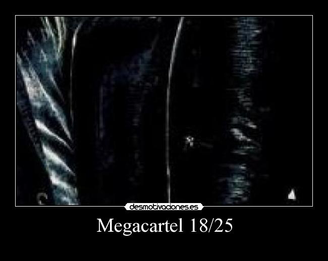 Megacartel 18/25 - 